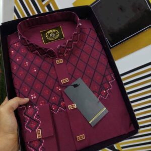 Eid Collection Panjabi-B002